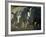 Damaraland, White Rhinoceros, Namibia-Mark Hannaford-Framed Photographic Print