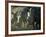 Damaraland, White Rhinoceros, Namibia-Mark Hannaford-Framed Photographic Print