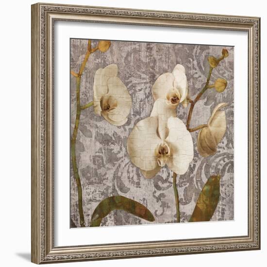 Damask Blooms II-Tania Bello-Framed Giclee Print