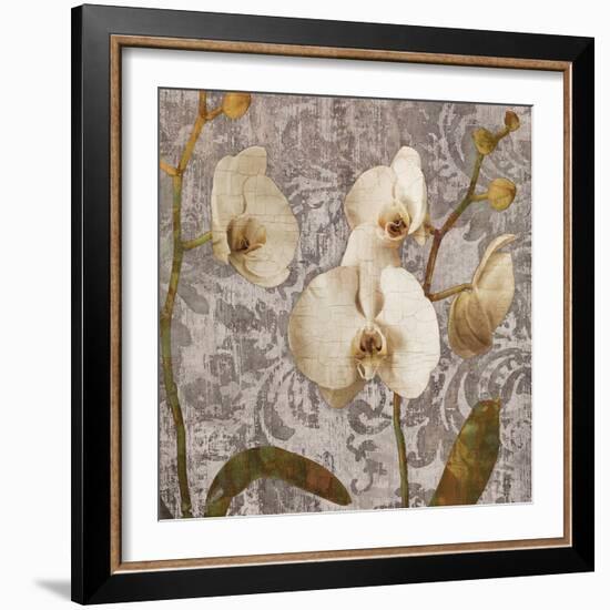 Damask Blooms II-Tania Bello-Framed Giclee Print