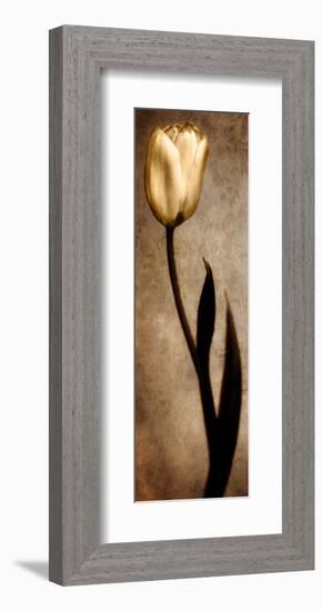 Damask Tulip I-Christine Zalewski-Framed Art Print