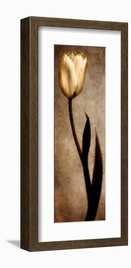 Damask Tulip I-Christine Zalewski-Framed Art Print