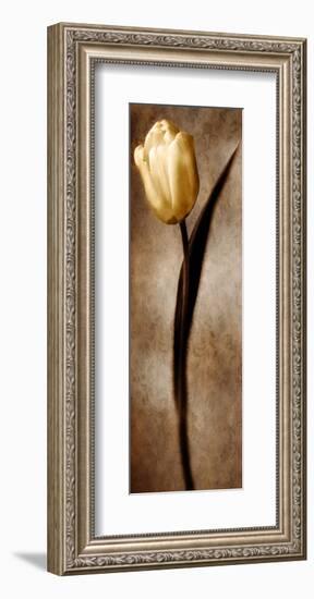 Damask Tulip II-Christine Zalewski-Framed Art Print