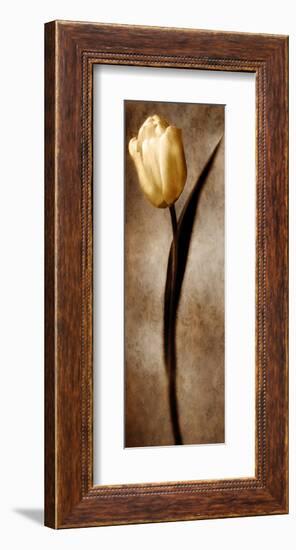 Damask Tulip II-Christine Zalewski-Framed Art Print