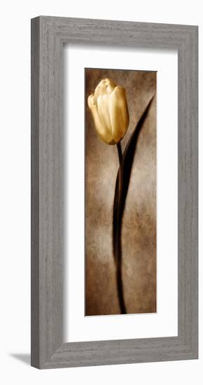 Damask Tulip II-Christine Zalewski-Framed Art Print