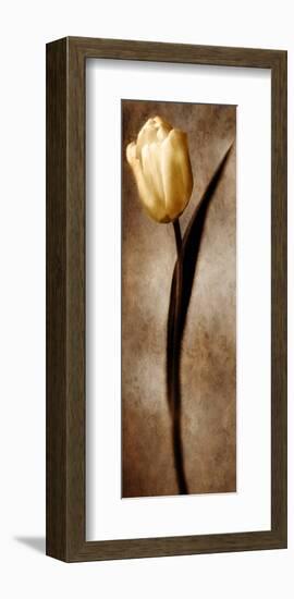 Damask Tulip II-Christine Zalewski-Framed Art Print