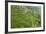 Dambatenne Estate, Lipton Tea Estates, Haputale, Hill Country, Sri Lanka, Asia-Tony Waltham-Framed Photographic Print