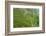 Dambatenne Estate, Lipton Tea Estates, Haputale, Hill Country, Sri Lanka, Asia-Tony Waltham-Framed Photographic Print