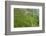 Dambatenne Estate, Lipton Tea Estates, Haputale, Hill Country, Sri Lanka, Asia-Tony Waltham-Framed Photographic Print