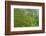 Dambatenne Estate, Lipton Tea Estates, Haputale, Hill Country, Sri Lanka, Asia-Tony Waltham-Framed Photographic Print