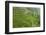 Dambatenne Estate, Lipton Tea Estates, Haputale, Hill Country, Sri Lanka, Asia-Tony Waltham-Framed Photographic Print