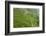 Dambatenne Estate, Lipton Tea Estates, Haputale, Hill Country, Sri Lanka, Asia-Tony Waltham-Framed Photographic Print