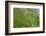 Dambatenne Estate, Lipton Tea Estates, Haputale, Hill Country, Sri Lanka, Asia-Tony Waltham-Framed Photographic Print