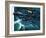 Dambusters-Wilf Hardy-Framed Giclee Print