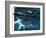 Dambusters-Wilf Hardy-Framed Giclee Print