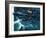 Dambusters-Wilf Hardy-Framed Giclee Print