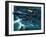 Dambusters-Wilf Hardy-Framed Giclee Print