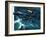 Dambusters-Wilf Hardy-Framed Giclee Print