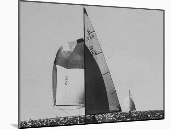 Dame Pattie Leading "Intrepid" in Americas Cup Races-George Silk-Mounted Photographic Print