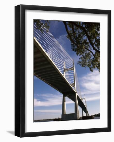 Dames Point Bridge, Jacksonville, Florida, USA-null-Framed Photographic Print