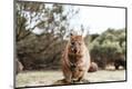 Premium Photographic Print