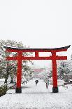 Patterns in snow-covered rock garden, Tofuku-ji Temple, Kyoto, Japan, Asia-Damien Douxchamps-Framed Photographic Print