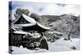 Stretched Canvas Print