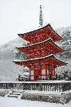 Koto-in Temple garden in snow, Kyoto, Japan, Asia-Damien Douxchamps-Photographic Print