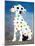 Damien's Dotty Spotty Dawg - Blue-Juan Sly-Mounted Art Print