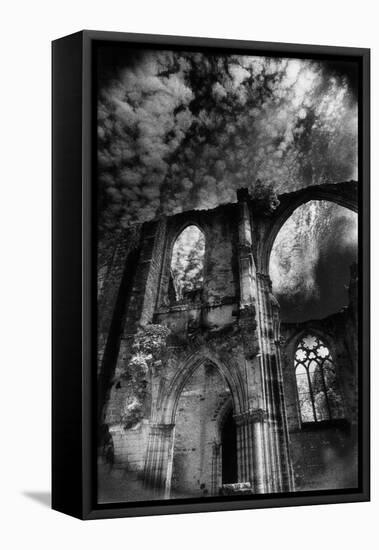 Dammarie-Les-Lys Abbey, Isle-De-France, France-Simon Marsden-Framed Premier Image Canvas