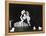 Damn Yankees, Gwen Verdon, Bob Fosse, 1958-null-Framed Stretched Canvas