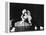 Damn Yankees, Gwen Verdon, Bob Fosse, 1958-null-Framed Stretched Canvas