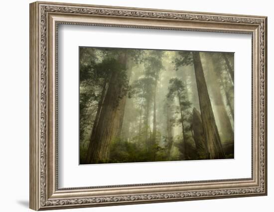 Damnation Trail-David Lorenz Winston-Framed Art Print