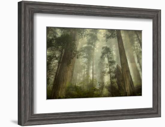 Damnation Trail-David Lorenz Winston-Framed Art Print