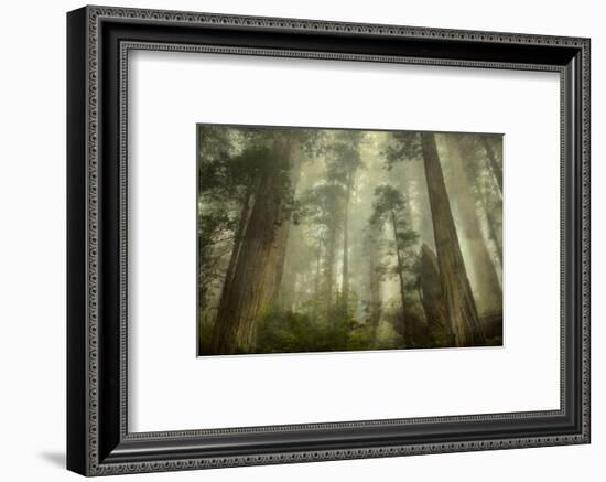 Damnation Trail-David Lorenz Winston-Framed Art Print