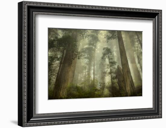 Damnation Trail-David Lorenz Winston-Framed Art Print