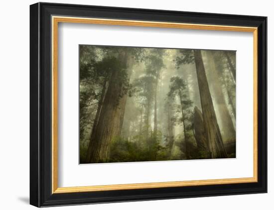 Damnation Trail-David Lorenz Winston-Framed Art Print