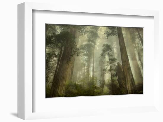 Damnation Trail-David Lorenz Winston-Framed Art Print