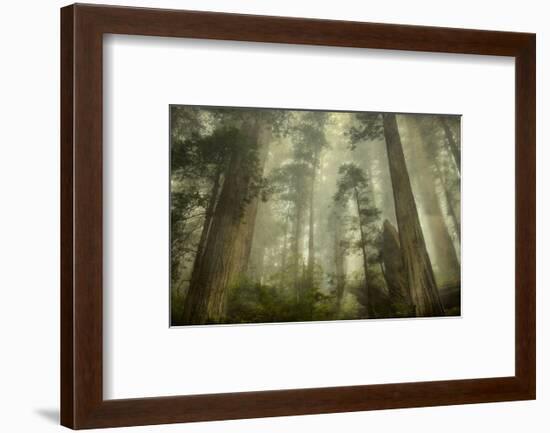 Damnation Trail-David Lorenz Winston-Framed Art Print