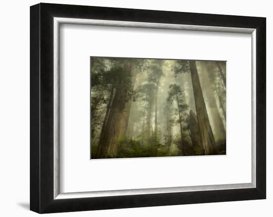 Damnation Trail-David Lorenz Winston-Framed Art Print