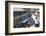 Damnoen Saduak Floating Markets, Bangkok, Thailand, Southeast Asia, Asia-Frank Fell-Framed Photographic Print