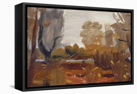 Damp Autumn-Ivon Hitchens-Framed Premier Image Canvas