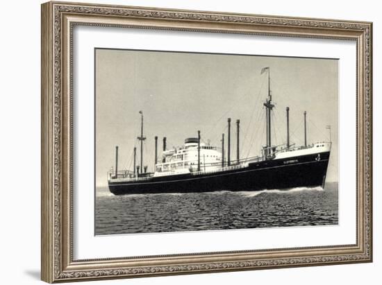 Dampfer M.S. Sloterdyk, Holland America Line-null-Framed Giclee Print