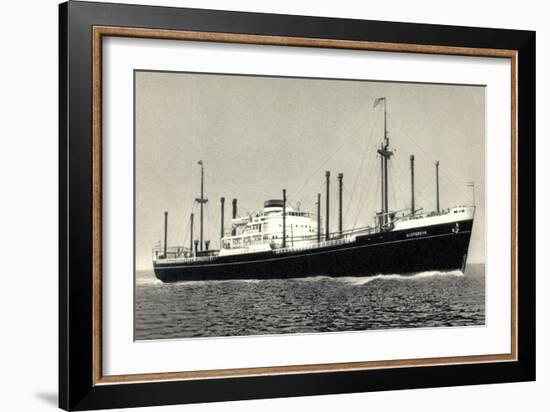 Dampfer M.S. Sloterdyk, Holland America Line-null-Framed Giclee Print