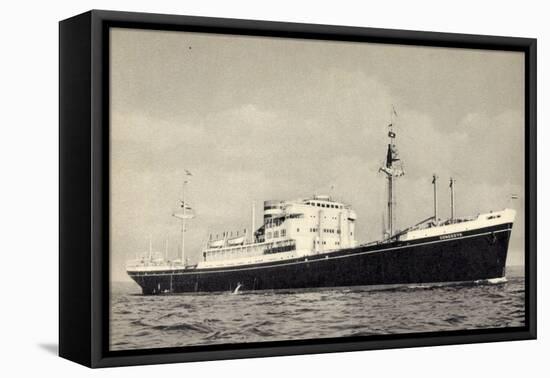 Dampfer M.V. Dongedyk Holland America Line-null-Framed Premier Image Canvas