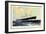 Dampfer Nieuw Amsterdam, Holland-America Line-null-Framed Giclee Print