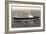 Dampfer S.S. Andyk, Holland America Line-null-Framed Giclee Print