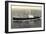 Dampfer S.S. Andyk, Holland America Line-null-Framed Giclee Print