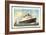 Dampfer T.S.S. Statendam, Holland America Line-null-Framed Giclee Print