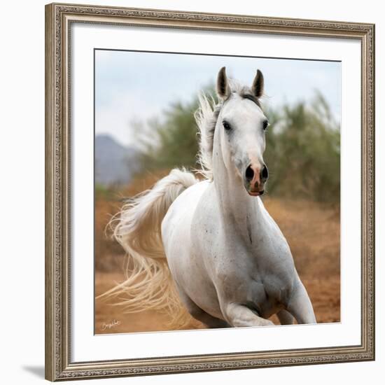 Damsel (color)-Barry Hart-Framed Art Print